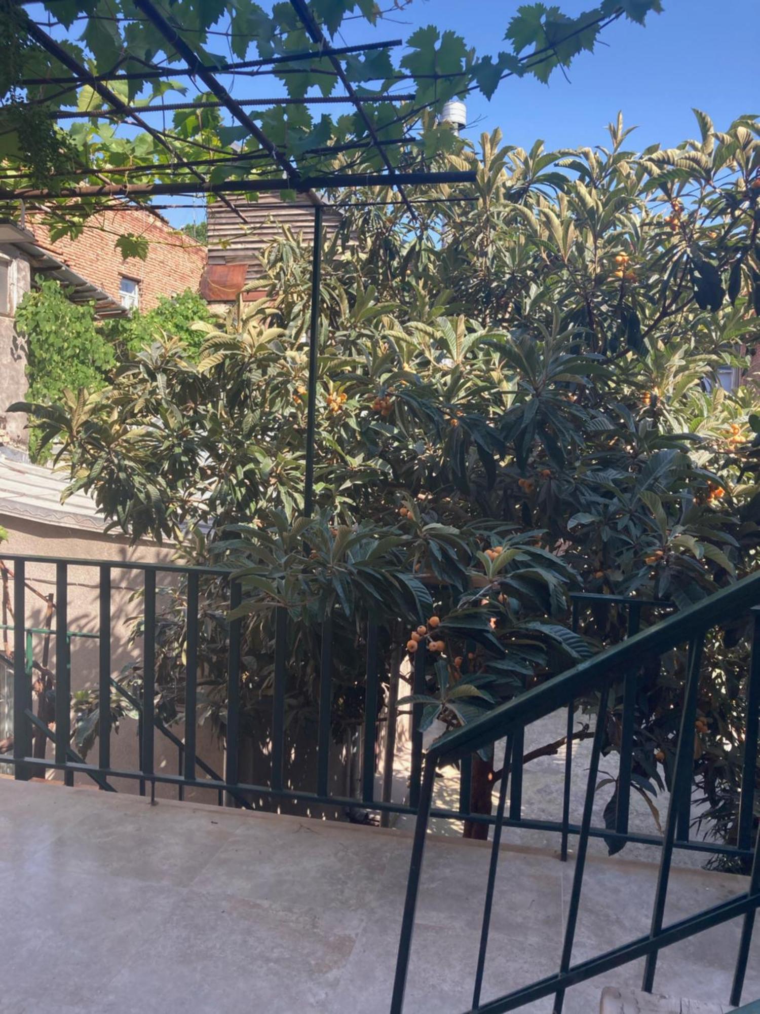 Historic Apartments "1868 Tbilisi" Best Location Eksteriør billede